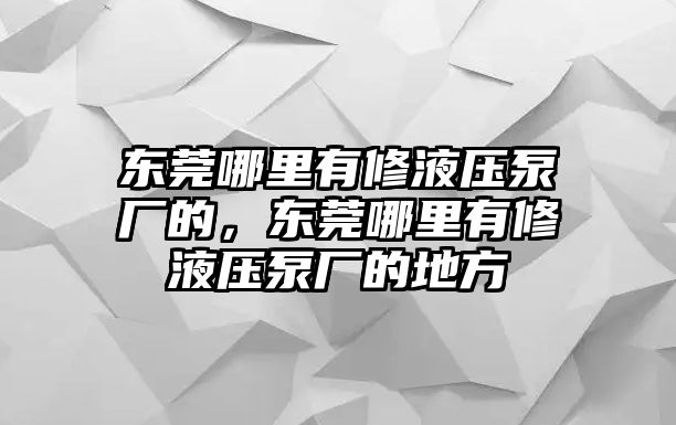 東莞哪里有修液壓泵廠的，東莞哪里有修液壓泵廠的地方