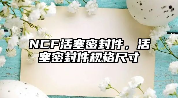 NCF活塞密封件，活塞密封件規(guī)格尺寸