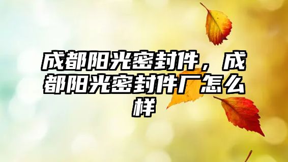 成都陽(yáng)光密封件，成都陽(yáng)光密封件廠怎么樣