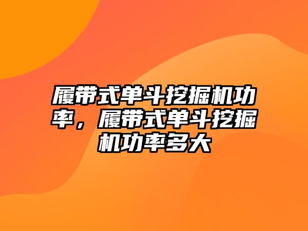 履帶式單斗挖掘機(jī)功率，履帶式單斗挖掘機(jī)功率多大