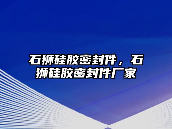 石獅硅膠密封件，石獅硅膠密封件廠家