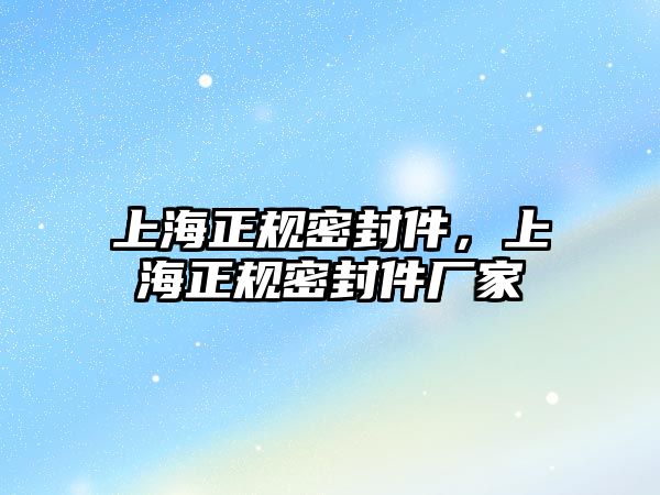 上海正規(guī)密封件，上海正規(guī)密封件廠家