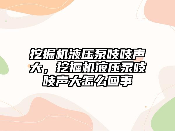 挖掘機液壓泵吱吱聲大，挖掘機液壓泵吱吱聲大怎么回事