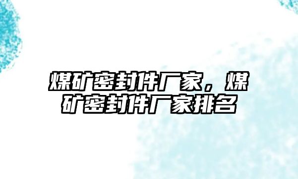 煤礦密封件廠家，煤礦密封件廠家排名