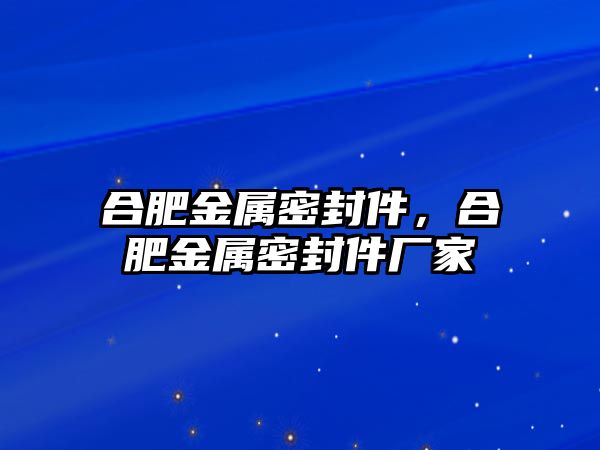 合肥金屬密封件，合肥金屬密封件廠家