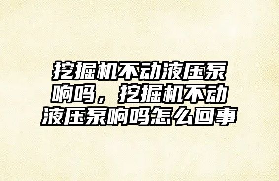 挖掘機不動液壓泵響嗎，挖掘機不動液壓泵響嗎怎么回事