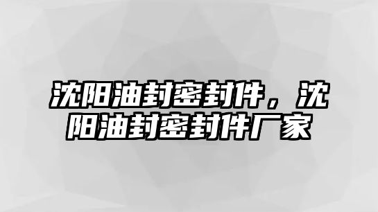 沈陽油封密封件，沈陽油封密封件廠家