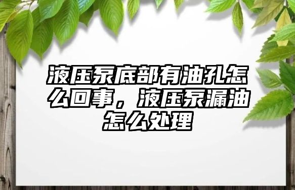 液壓泵底部有油孔怎么回事，液壓泵漏油怎么處理