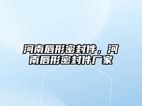 河南唇形密封件，河南唇形密封件廠家