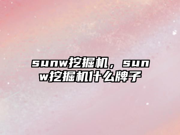 sunw挖掘機，sunw挖掘機什么牌子