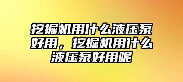 挖掘機(jī)用什么液壓泵好用，挖掘機(jī)用什么液壓泵好用呢