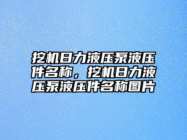 挖機日力液壓泵液壓件名稱，挖機日力液壓泵液壓件名稱圖片