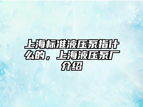 上海標(biāo)準(zhǔn)液壓泵指什么的，上海液壓泵廠介紹